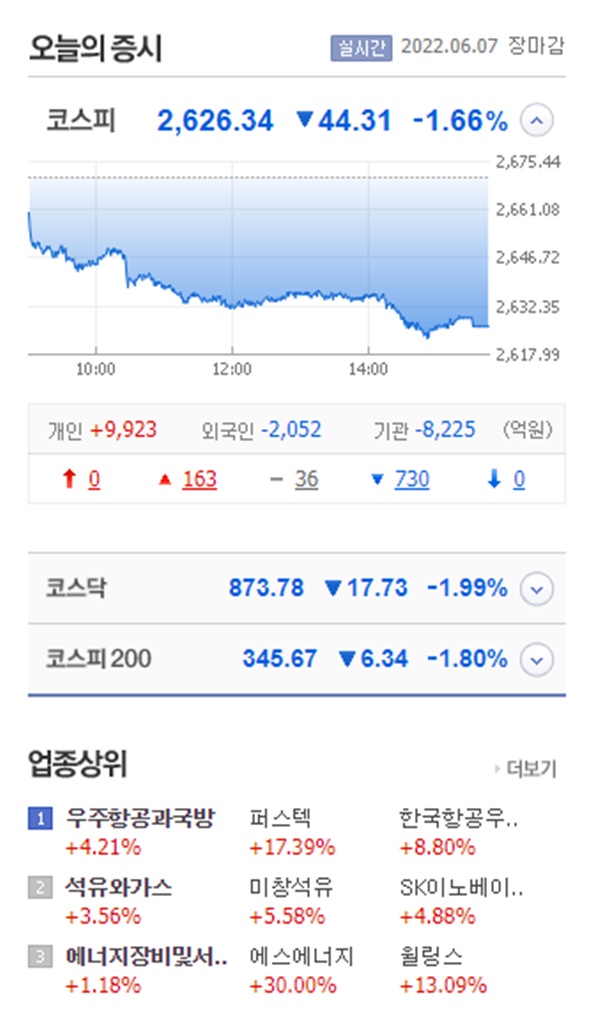 [오늘의 증시] 코스피 1.66% 하락 2626선 마감... 시총 상위 종목 줄줄이 하락