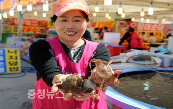 태안에서 주꾸미 먹고 튤립도 보고~