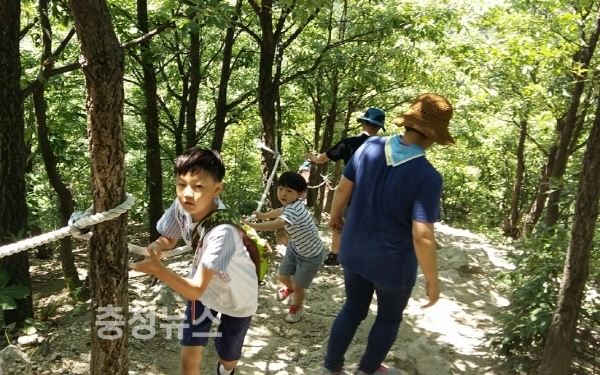 세종시교육청, 모험의 숲 운영