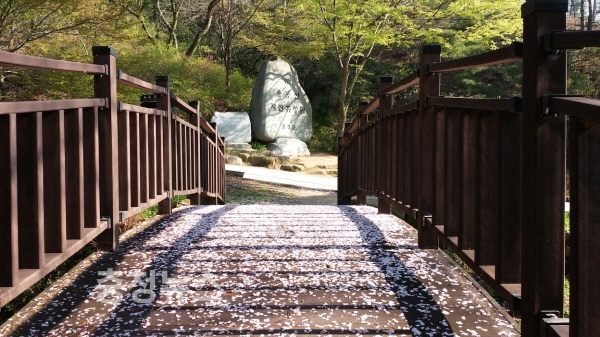 홍성군,나무랑, 꽃이랑, 열매랑 숲속 놀이