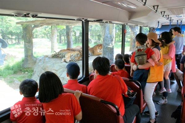 세종시 드림스타트, 대전오월드 가족여행
