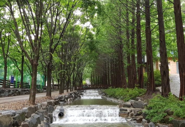 청양군, 칠갑산자연휴양림 보완사업 추진