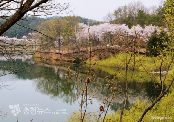세종&연서, 봄이 왔나봄 행사 방역 최우선