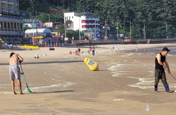 태안군 만리포관광협회 및 주민들, 자발적 해변청소 눈길