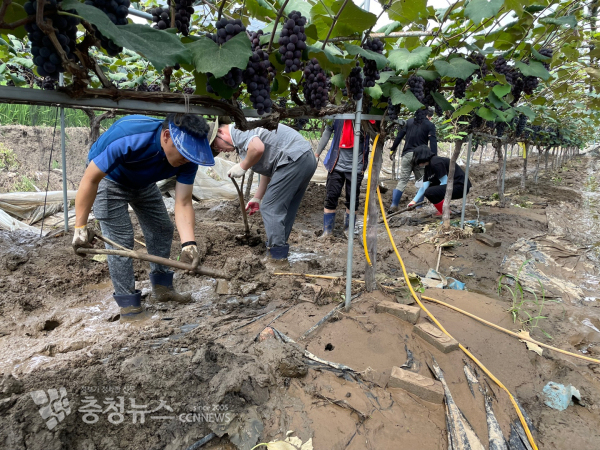충남교육청, 집중호우 피해 지역 적극 지원
