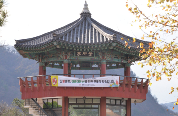 금강자연휴양림 품은 환상적인 일몰 명소 세종시 청벽산