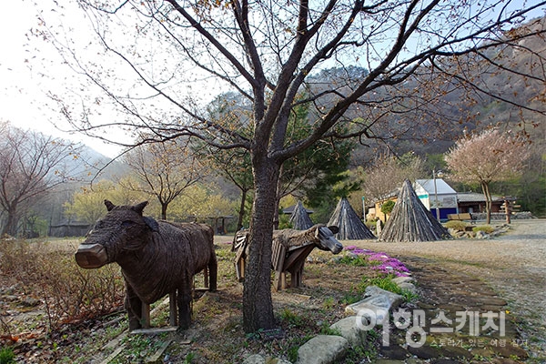 [봄 여행주간]누구나 걷기 좋은 길, 횡성 호수길 5구간