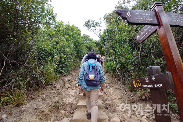 [홍콩 트레일 여행] 용의 능선을 따라 굽이굽이 걷는 발걸음, 드래곤즈 백