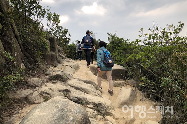 [홍콩 트레일 여행] 용의 능선을 따라 굽이굽이 걷는 발걸음, 드래곤즈 백