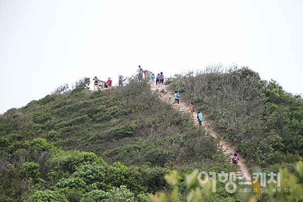[홍콩 트레일 여행] 용의 능선을 따라 굽이굽이 걷는 발걸음, 드래곤즈 백