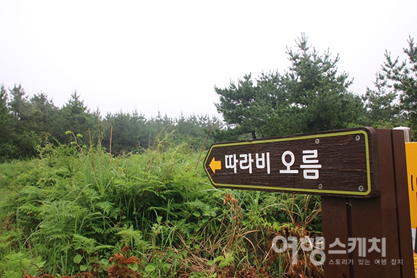 [쉬영갑서예 ②] 600년 제주 목축문화를 보여주는 마을, 서귀포시 가시리마을