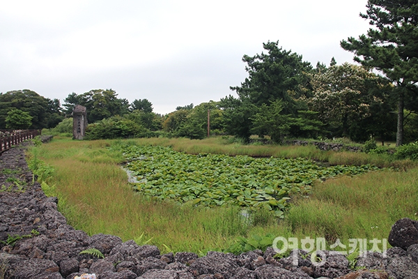 [쉬엉갑서예 ③] 삼신인(三神人)이 혼인한 마을, 제주 서귀포시 혼인지마을