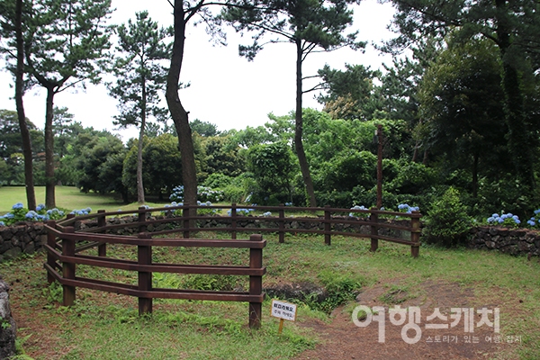 [쉬엉갑서예 ③] 삼신인(三神人)이 혼인한 마을, 제주 서귀포시 혼인지마을
