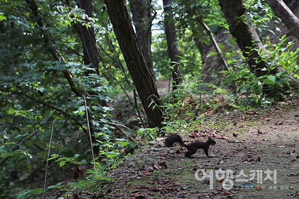 숲 수영장에서 황톳길까지. 풍성하다 풍성해! 남녀노소 누구나 물무산 행복숲 둘레길