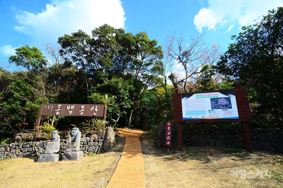 [람사르습지 도시-제주] 제주의 자연과 역사를 품은 동백동산 습지