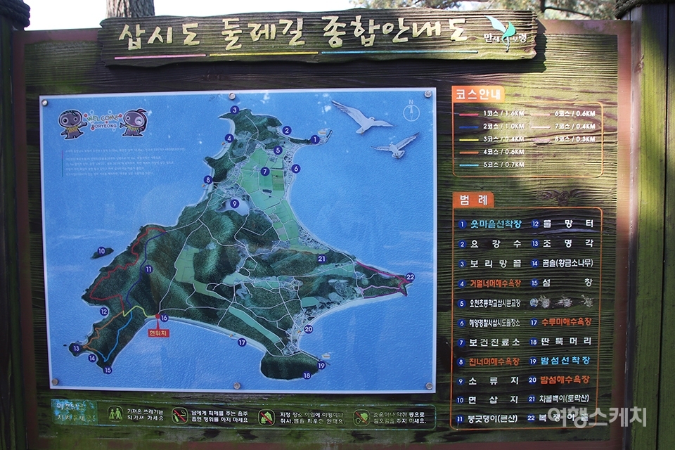 [섬플러스⑦] 황금빛 곰솔부터 바닷길 열리는 면삽지까지‧…보물 찾아 삽시도 트레킹