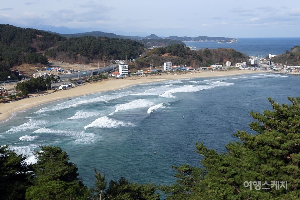 [뉴스체크-강원] 양양 작은영화관에 영화보러 가자!...공기 맑은 관광지, 송지호 미세먼지 저감 숲가꾸기 추진