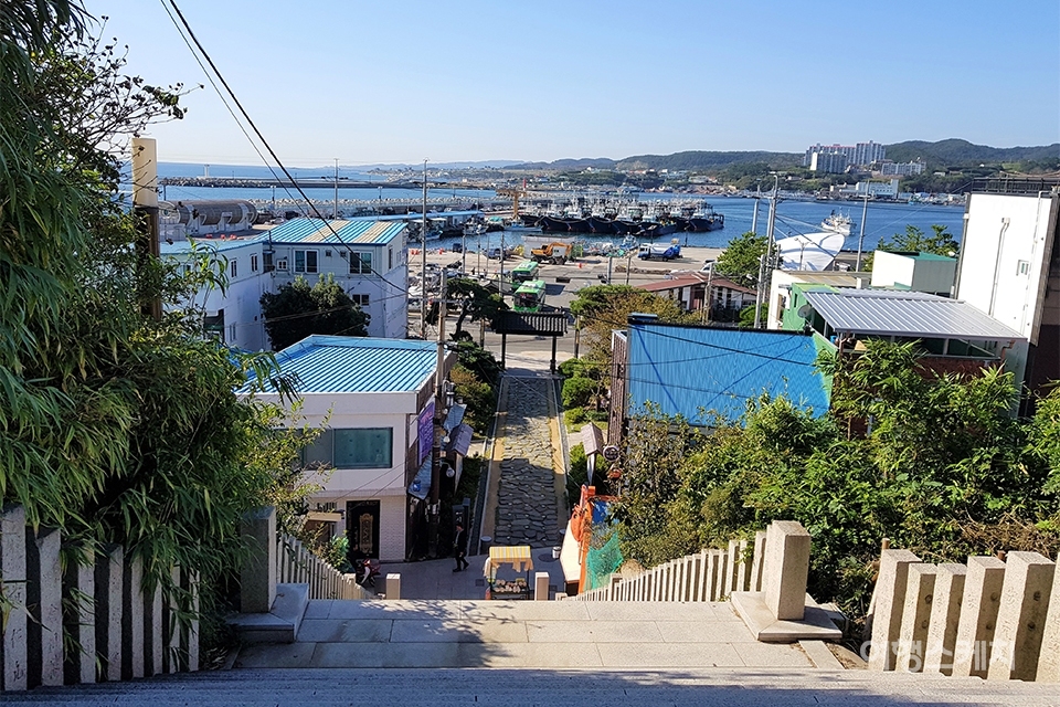[Travel In Drama] 드라마 동백꽃 필 무렵의 촬영지, 포항 구룡포를 거닐다