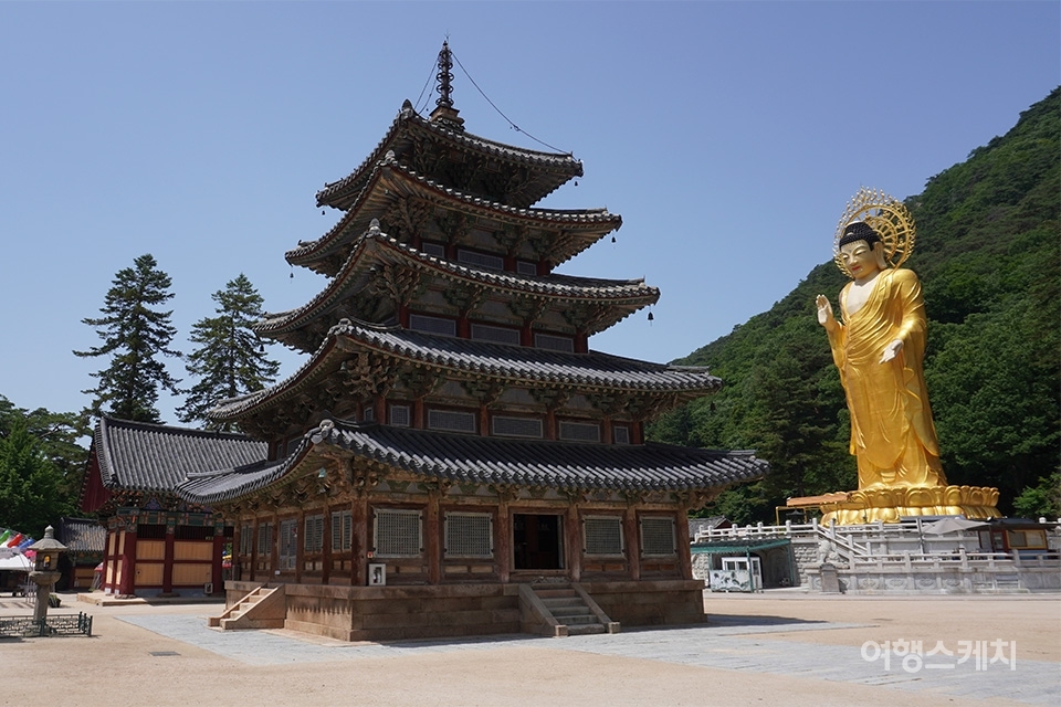[청정지역 시골 여행 Ⅲ ②] 자연과 친구 되는 마을에서 추억 쌓기, 보은 잘산대마을