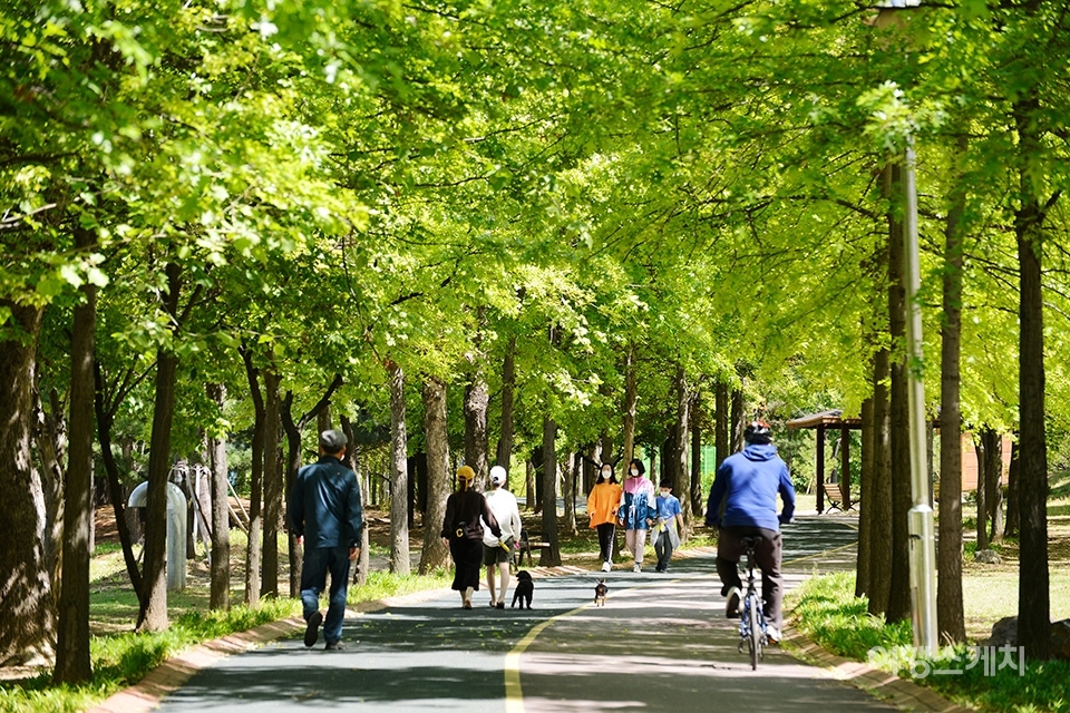 [트레킹 여행] 과거와 현재가 공존하는 길, 고양 누리길 8코스 경의로 누리길