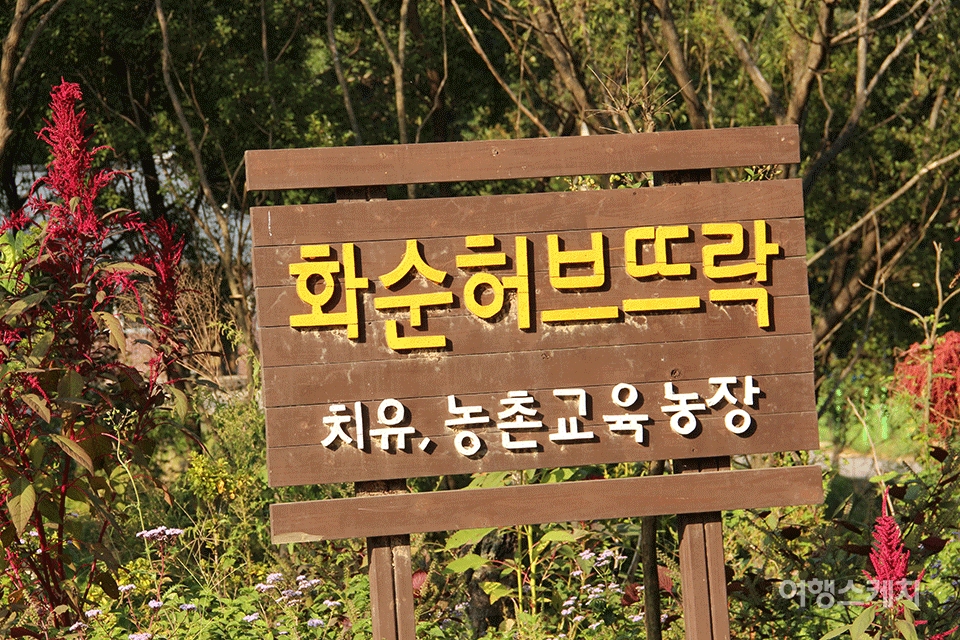 심신을 치료하는 치유농원 화순 허브뜨락