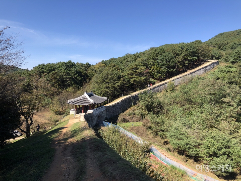 [위드 코로나 시대 여행지 ②] 문화민족 자긍심까지… 푸짐한 청주여행