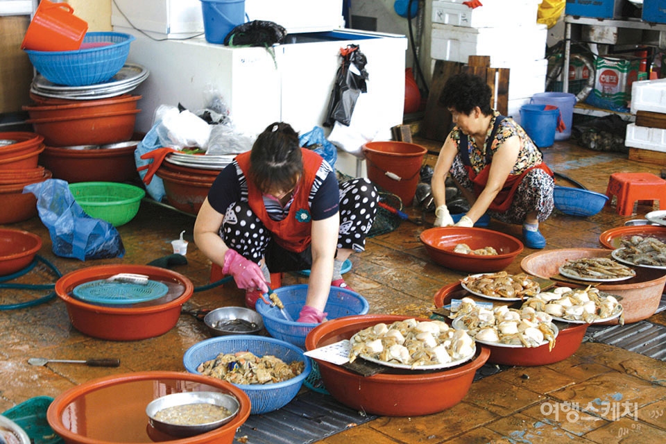 [수산물 따라가는 맛있는 전남여행 ③]봄향기 풍기는 조개의 여왕 장흥 키조개