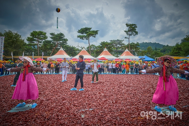 신선한 농산물과 먹거리 넘치는 괴산고추축제