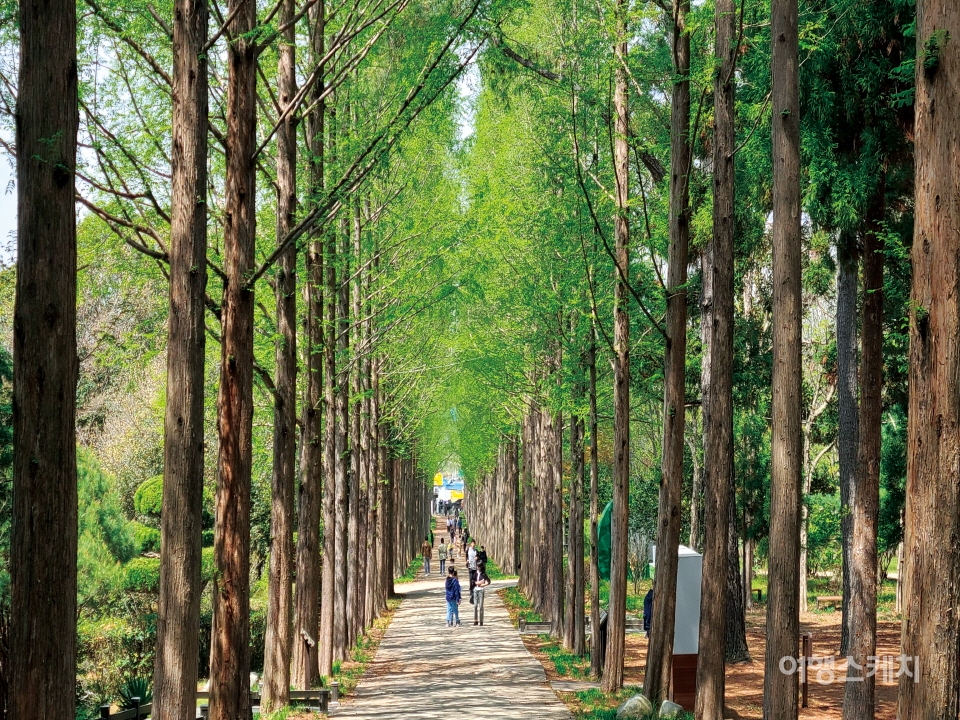 [숲 나들이] 나주 사람들의 자랑 전남산림자원연구소, 빛가람 치유의 숲으로 오세요!!