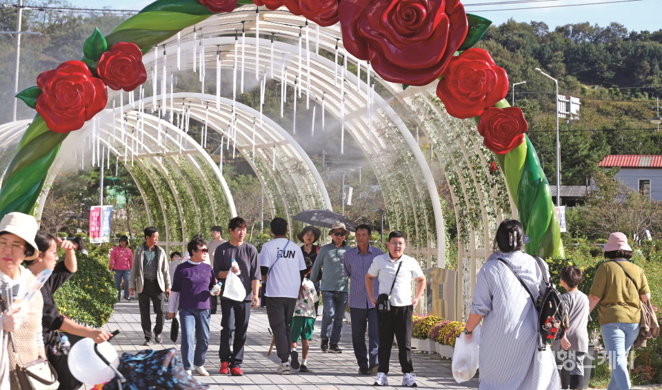 [이달의 축제] 임실N장미축제, 임실치즈테마파크에는 장미원이 있어요!