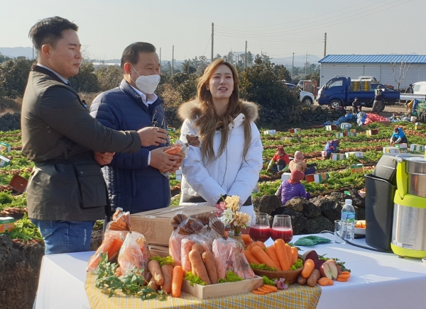 제주당근, 라이브 커머스 홍보 효과 톡톡