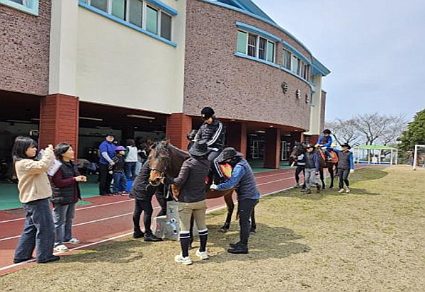 자치경찰기마대, 어린이·장애인 승마교실 실시