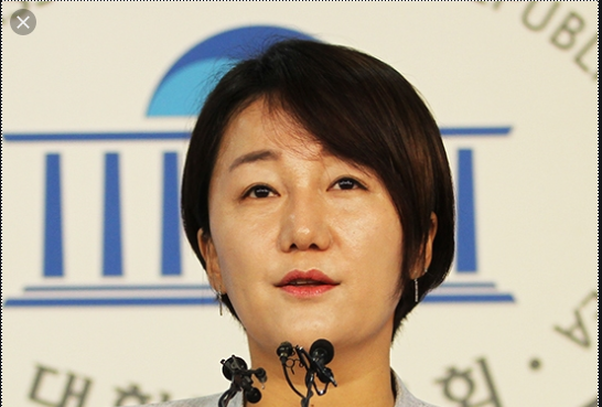 이재정 민주당 대변인 "기레기" 발언 논란...조국 때문에 예민?