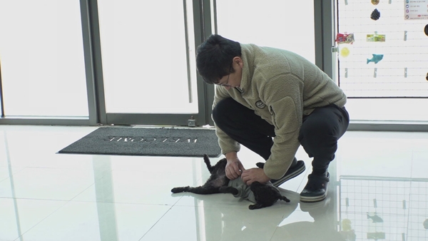 날 입양해라 지독한 스토커 고양이 뻔이의 사연은?(TV 동물농장)