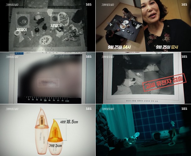 제주 카페 살인사건 범인, 1심 무죄→최종 15년형...성폭행 처벌 無