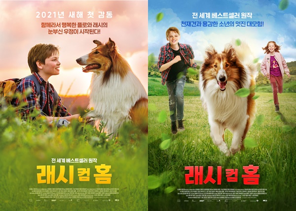 래시 컴 홈, 천재견X소년 대모험 가족 드라마...1월 개봉