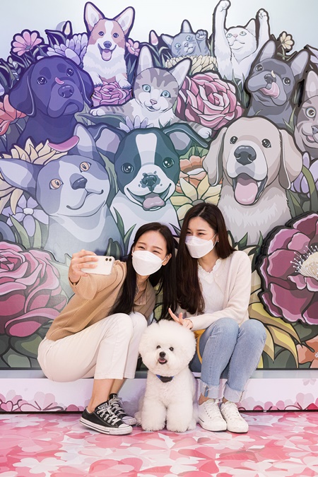 스타필드 꽃길만 걷개 관심...댕댕이와 신나는 하루!