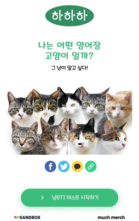 샌드박스, 캣튜버 하하하와 MBTI 콘셉트 굿즈 냥BTI 출시