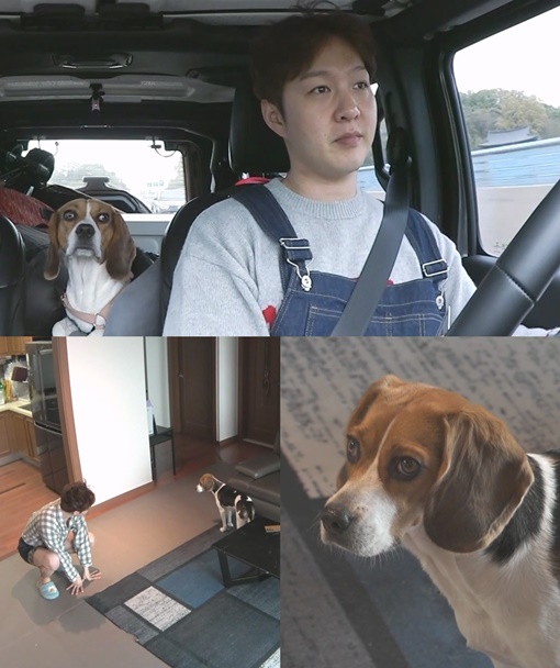 나혼산 비투비 이창섭, 반려견 구리와 특별한 외출