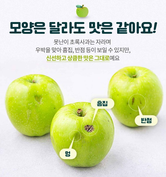 쿠팡, 우박사과 대량 매입...최대 20% 할인