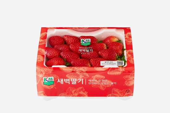 롯데마트·슈퍼, 산지 신선함 가득 새벽 딸기 판매