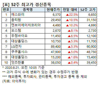 [52주 최고가] 에스와이 22.5%↑, 10개 종목 장중 신고가