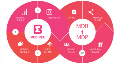 의료뷰티 서비스 플랫폼 메디뷰, 글로벌 디지털 문화산업 공략