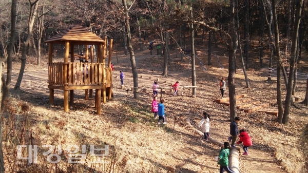 연암공원 유아숲체험원 조성 인기 짱