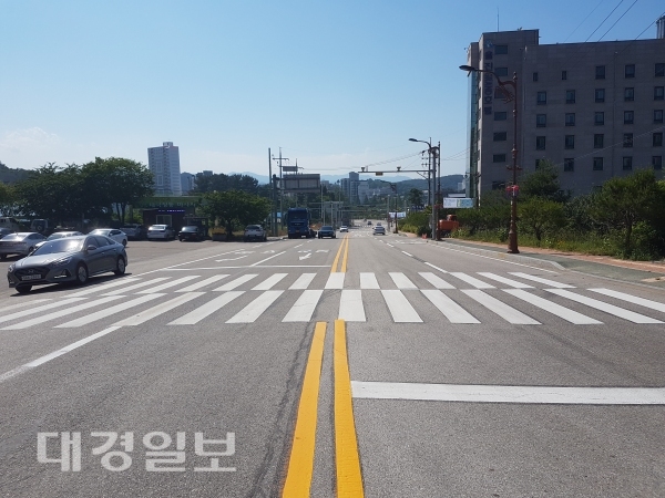 울진 시가지 노후차선 도색공사 시행
