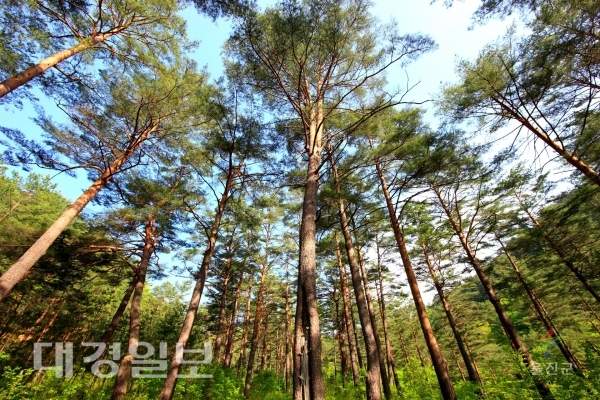 가을 숲속을 함께 걷다