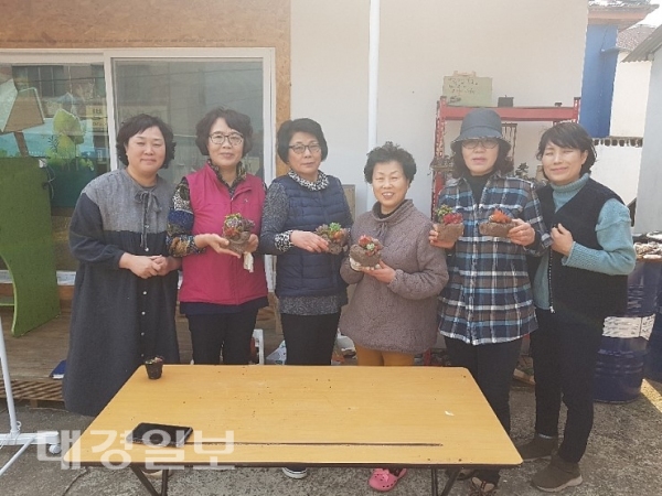 따뜻한 봄날, 다육이 어떠세요? 다육이로 하나되는 택전마을