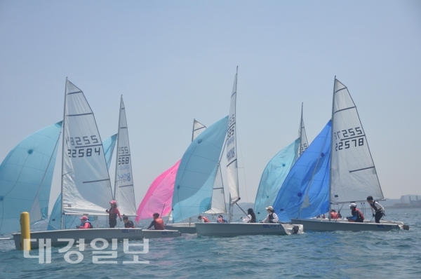 제3회 포항시장배 학생동아리 요트대회 마무리