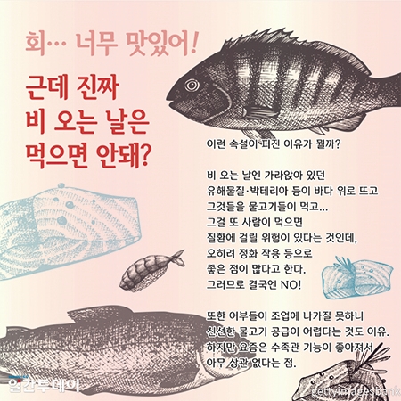 비 오는 날엔 회 먹으면 안돼?