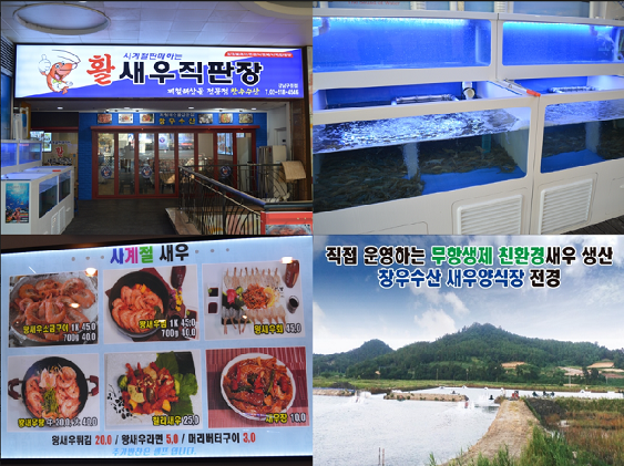 강남구청역 맛집 사계절내내 생새우구이를 먹을수 있는곳 창우수산 활새우직판장 인기